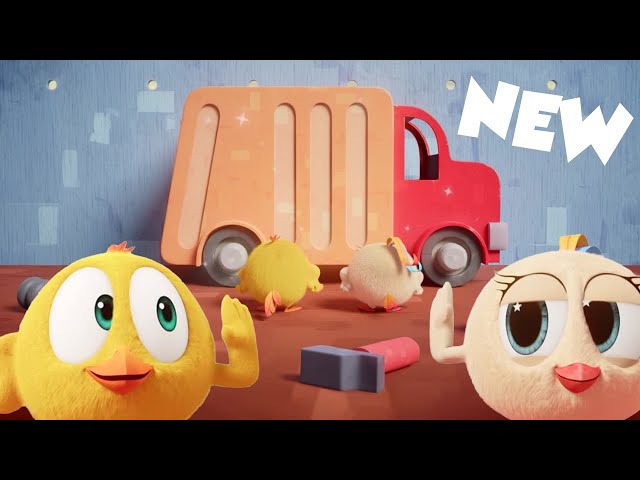 (NEW) Little Builders | Where's Chicky? | Cartoon Collection in English for Kids | New episodes
