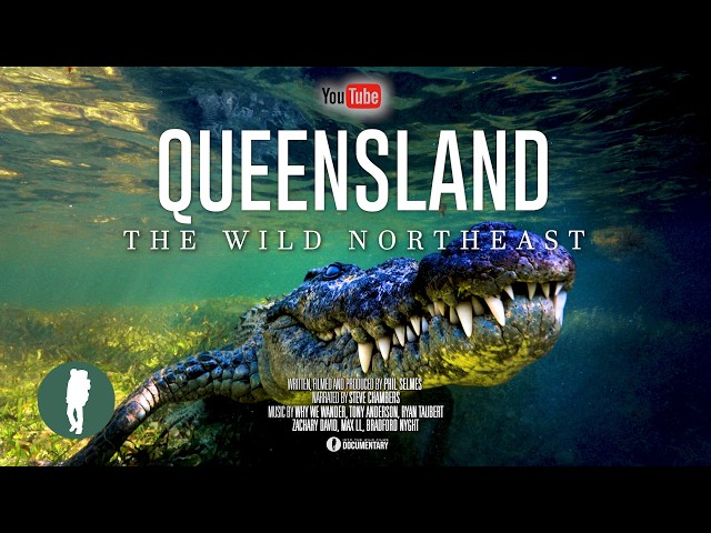Australia’s Wild Northeast | Queensland Wildlife 4K Documentary