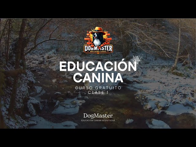 Free Dog Training Class | Black Friday Offer