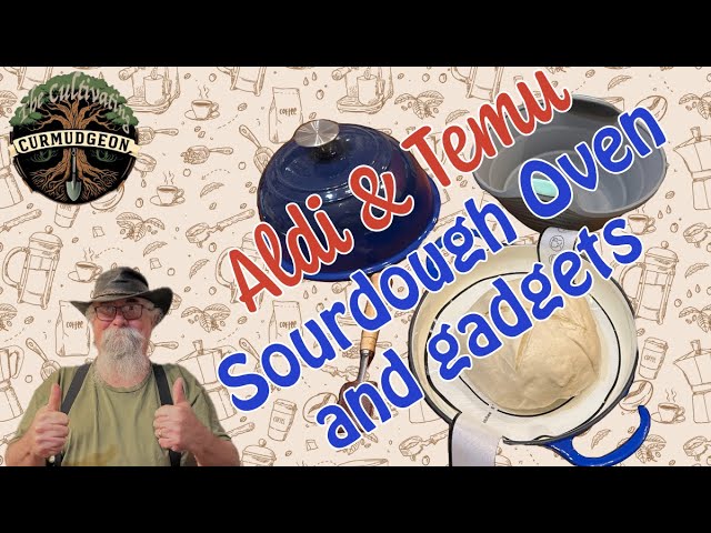 We Tried Aldi's Cheap Bread Oven and WOW!