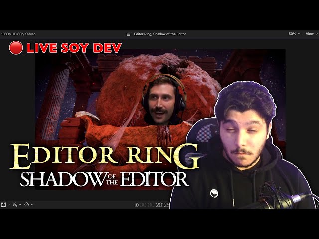 making programming memes live and roasting the viewers