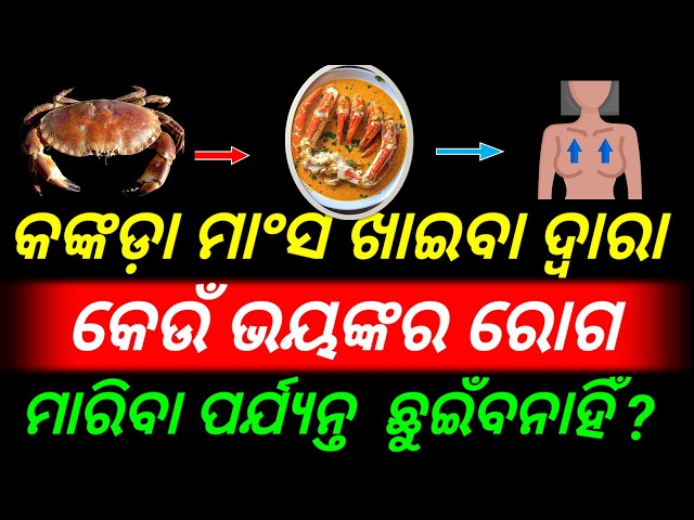 General Knowledge Odia | Gk Question | Odia Gk Question And Answers |  Gk In Odia | Odia Gk Quiz |