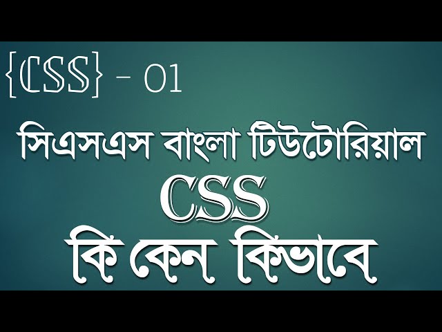 সিএসএস বাংলা টিউটোরিয়াল - CSS Tutorial Bangla 01