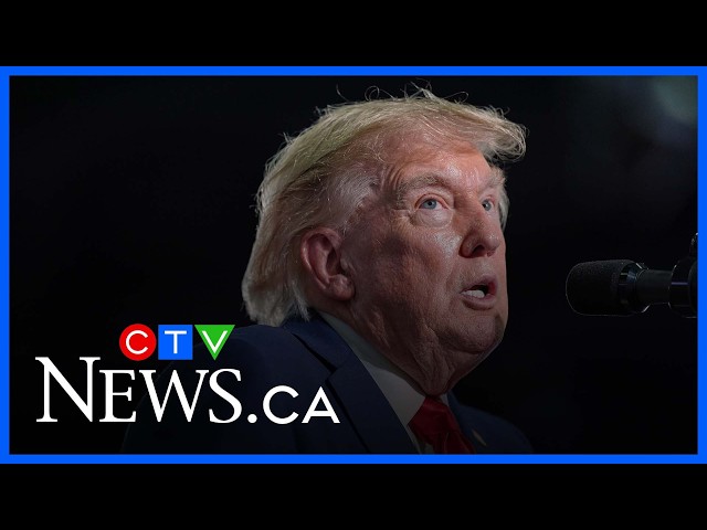 ‘From a mathematical point of view, it can’t happen’: Volpe on Trump’s expensive auto tariff