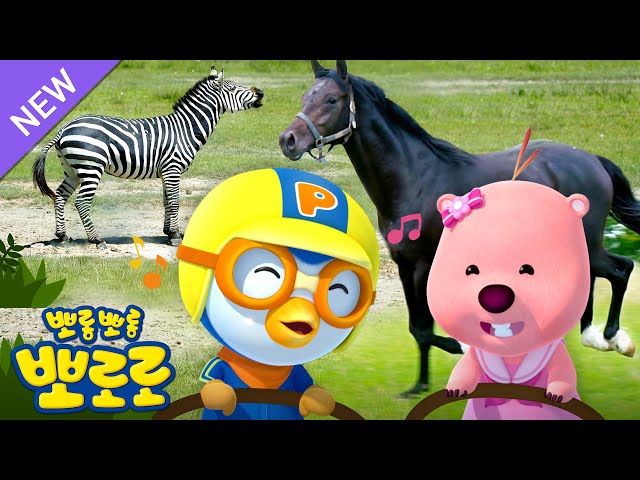 [4K] 다그닥 다그닥 멋쟁이 말!🐎🦓🐴 | 뽀로로와 동물친구들 | 뽀로로와노래해요 | 뽀로로 동물동요