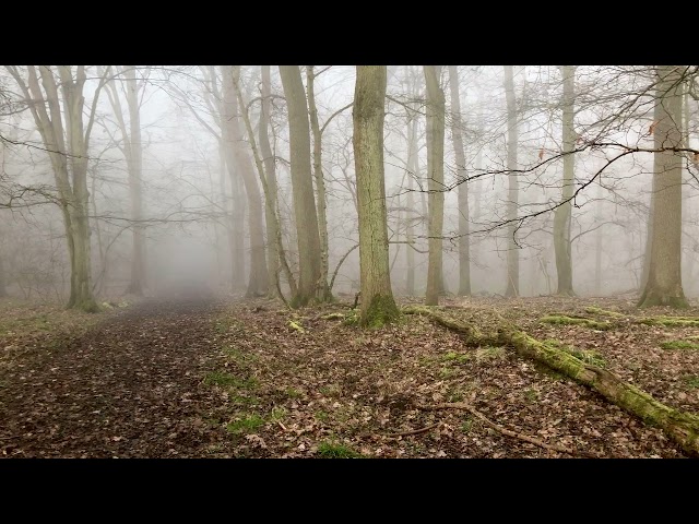 Kingswood, Ampthill
