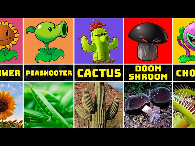 Plants vs Zombies Plants in Real Life
