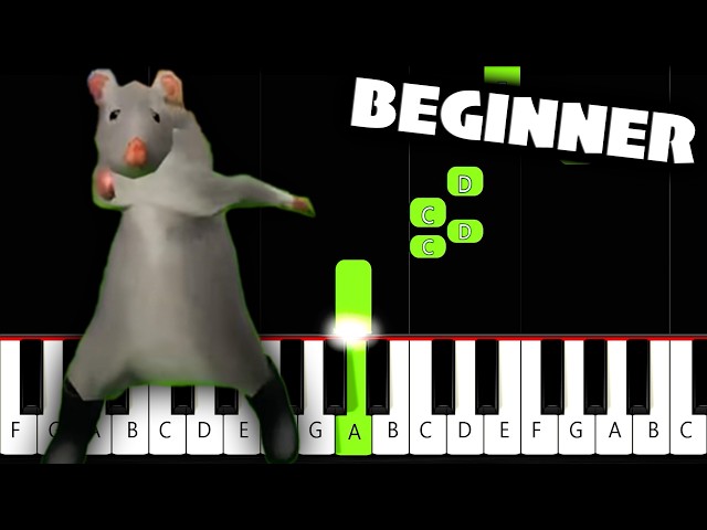 Dancing Rat Meme - BEGINNER Piano Tutorial