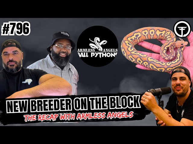 Ball Python Projects That Speak LOUDER Than Words | NBB Recap Ep.796  (Live)