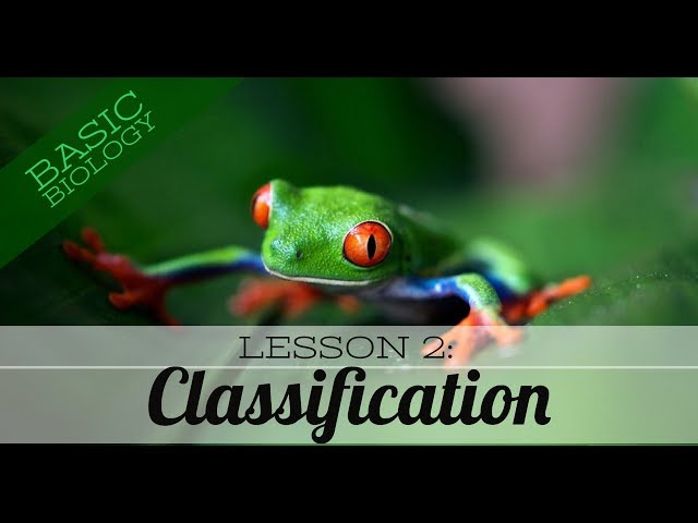 Basic Biology. Lesson 2 - Classification of living things (GCSE Science)