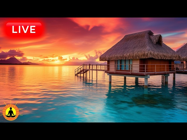 🔴 Deep Relaxing Music for Sleep 24/7: Peaceful Zen Music, Sleep Relaxation, Sleep Meditation Music