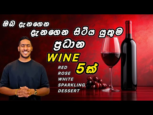 What are the main types of wine | මොනවද ප්‍රධාන වයින් වර්ග පහ | what is the main grapes varieties 