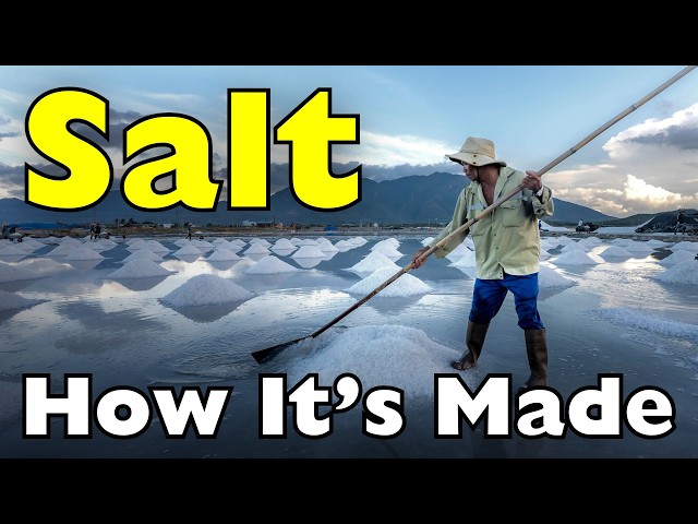 How Is Salt Made? The Process Behind Salt Production