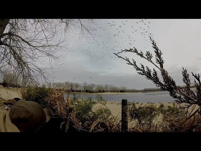 Goose Hunting on Big Water Sand Pit!!