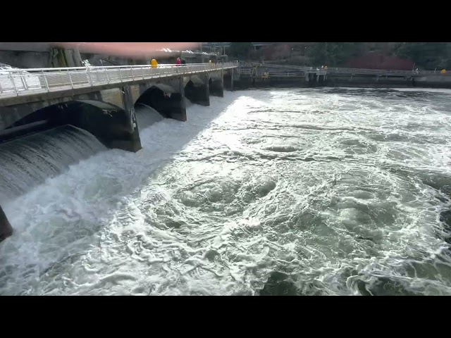 Ballard locks dam water release