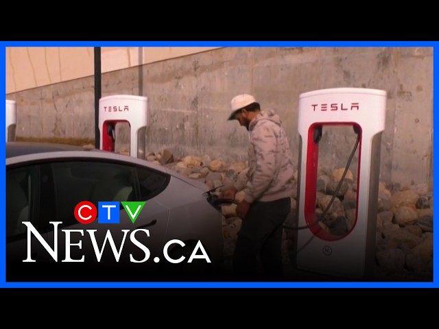 Tesla Motors Canada taking Manitoba to court