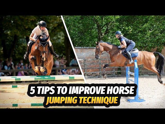 5 Tips to Improve Your Horse Jumping Technique (With FEI II Show Jumping Coach Krystal Kelly) #horse