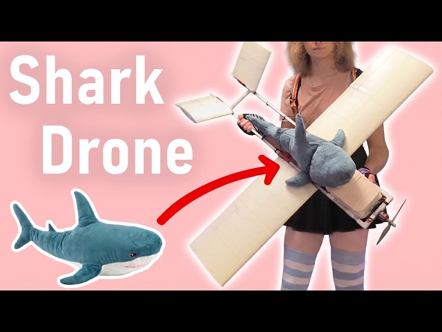 Can I Make an IKEA Blåhaj Shark Fly?