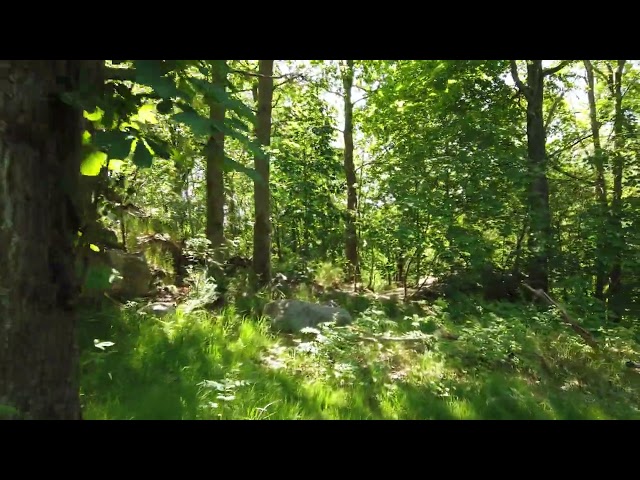 How to convince someone that interviewing is a necessary evil?