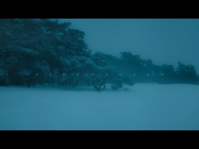 alvedon - retire (final)