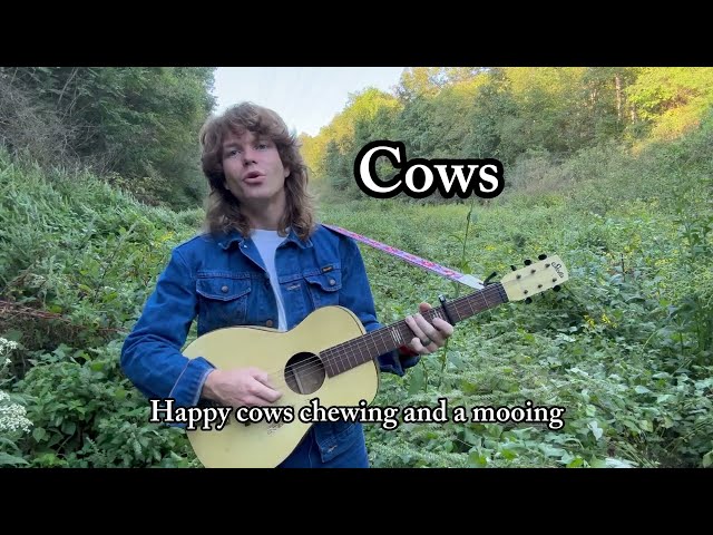 Cows