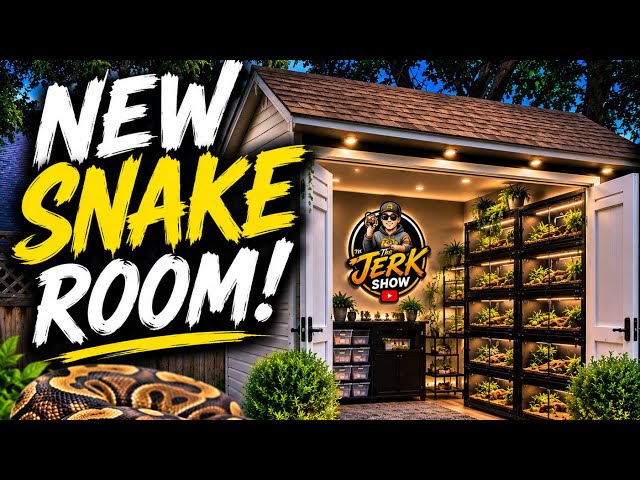     🐍 NEW SNAKE ROOM REVEAL! Dream Setup Finally Complete!