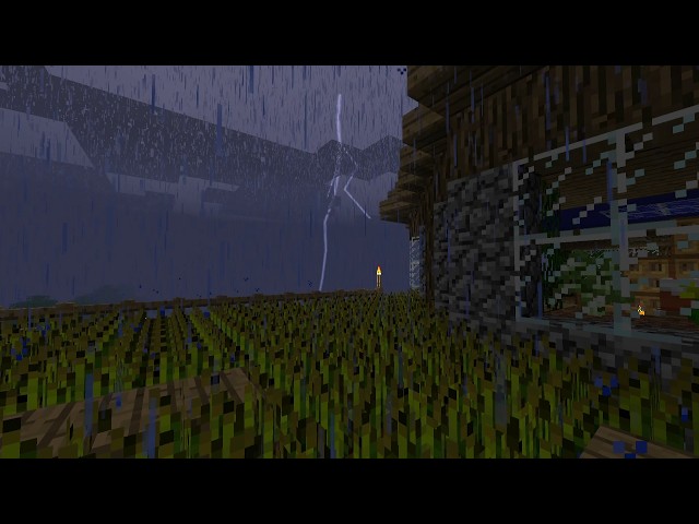 POV: You fell asleep in 2011 playing Minecraft on rainy night