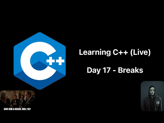 Day 17 Learning C++ (No AI) Until I Become Elliot Alderson | C++ Breaks