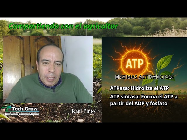 Tech Grow Innovation - "Compartiendo con el agricultor" Sinergia del fósforo y zinc en los cultivos.