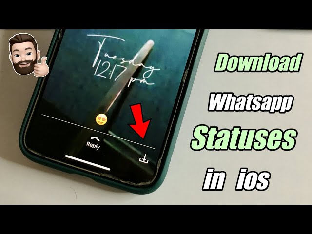 How to Download WhatsApp Status in iPhone  || How to save WhatsApp Status in IOS