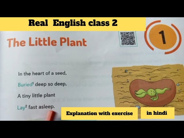 The Little Plant | Real English|class 2 |Explanation with exercise
