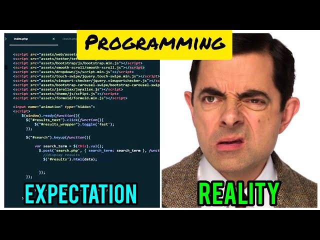Programming Expectation Vs Reality Mr Bean Meme