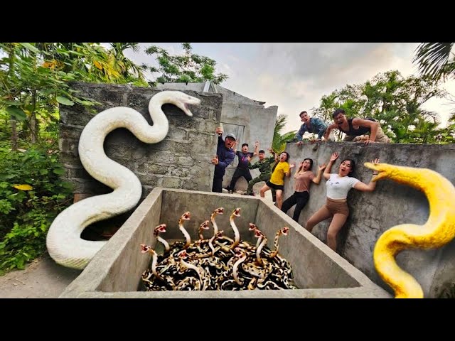 Expert Bravely Captures Giant White Python