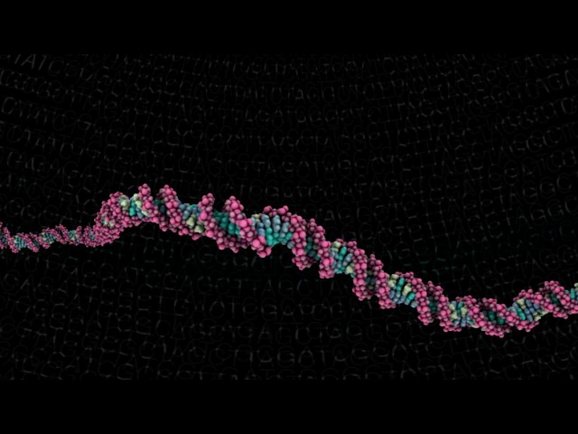 What is a Genome? (A 360 degree animation for Google Cardboard)