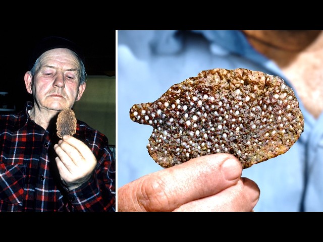 3+ HOURS of Alien Mysteries NO ONE Can Explain