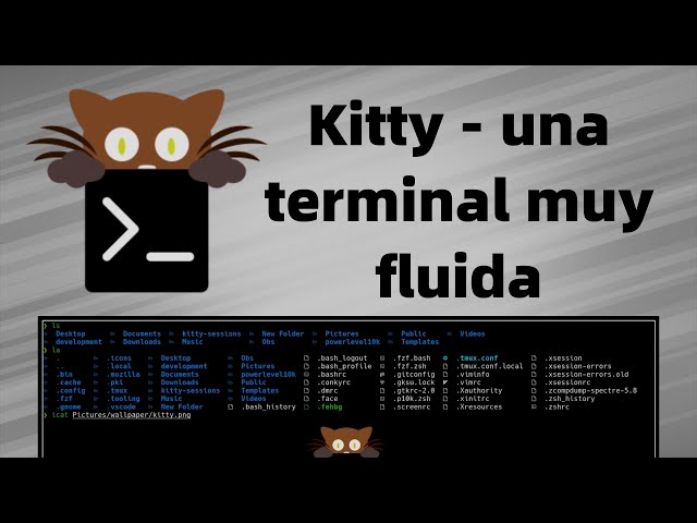 Kitty, la terminal más fluida en Linux