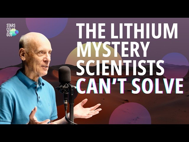 The Lithium Problem: Why Our Sun is Anomalously Unique