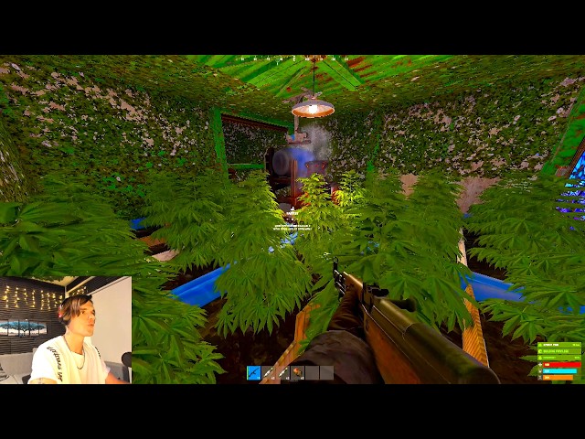 SOLO VS TOXIC STREAMERS ON 800 POP