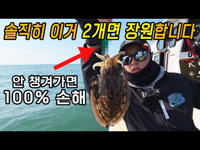 The Ultimate Secret to Catching Twice as Many Cuttlefish as the Person Next to You!!