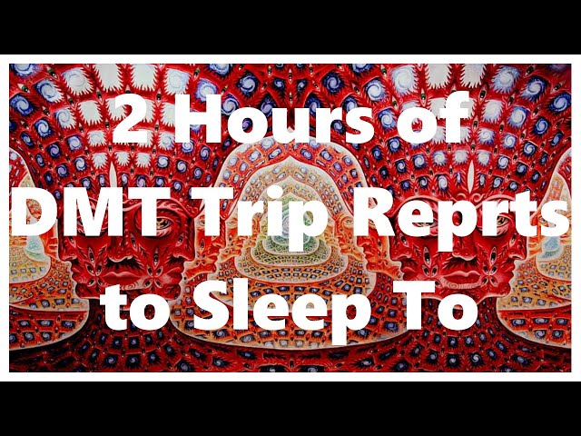 2 Hours of DMT Trip Reports to Sleep To