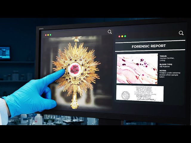 Every Scientifically Proven Eucharistic Miracle
