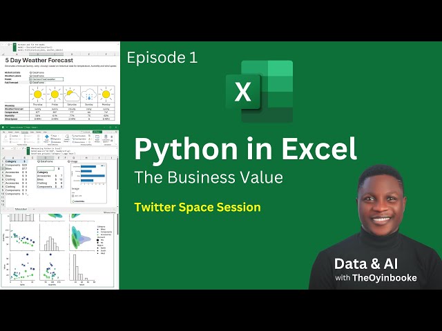 Business Value of Python in Excel   Twitter Space Session Podcast