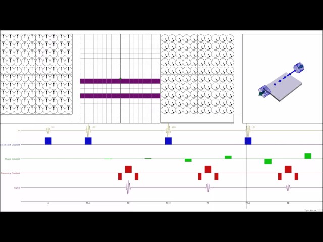 Fast Spin Echo - Spaces Animation