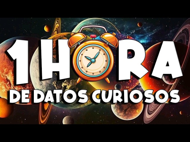 1 HOUR of nonstop FUN FACTS and THINGS YOU DIDN'T KNOW! ⏰😲1269