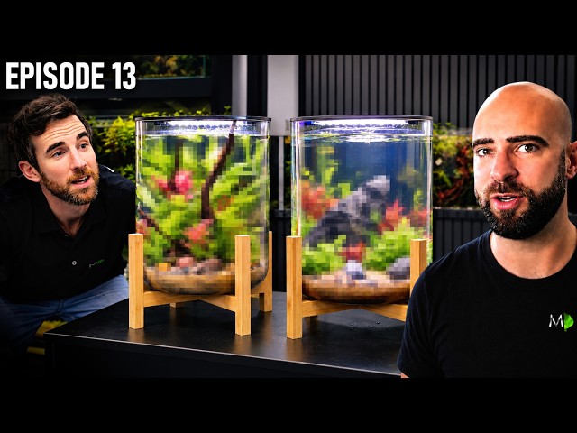 Kit Aquarium Competition: MD vs Steph |EP13| Warehouse To Fish Studio