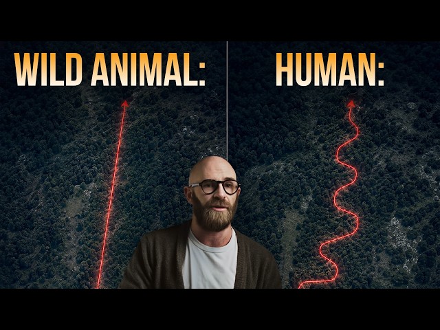 Things Humans Are Terrible At.