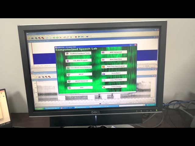 Video Lesson 2: Formant signatures of correct and incorrect /r/