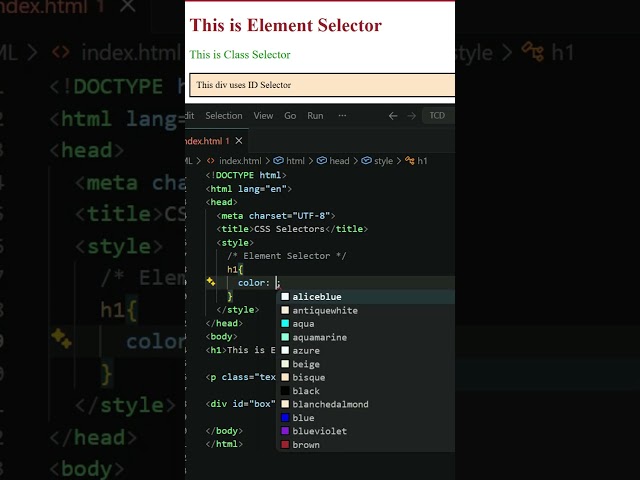 CSS Selectors Explained | Element, Class & ID Selectors | The Creative Developers