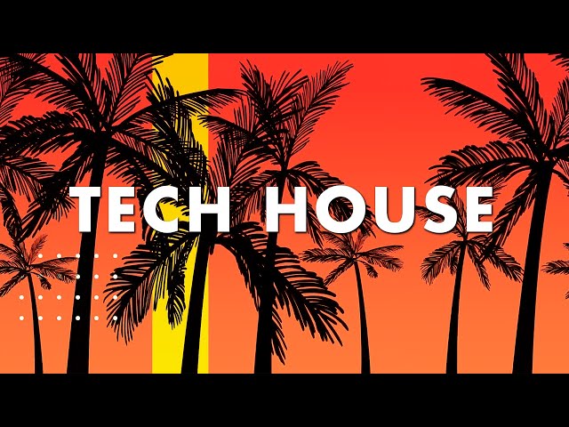 Tech House Mix 2024 | Stampi Mashups & Remixes of Popular Songs