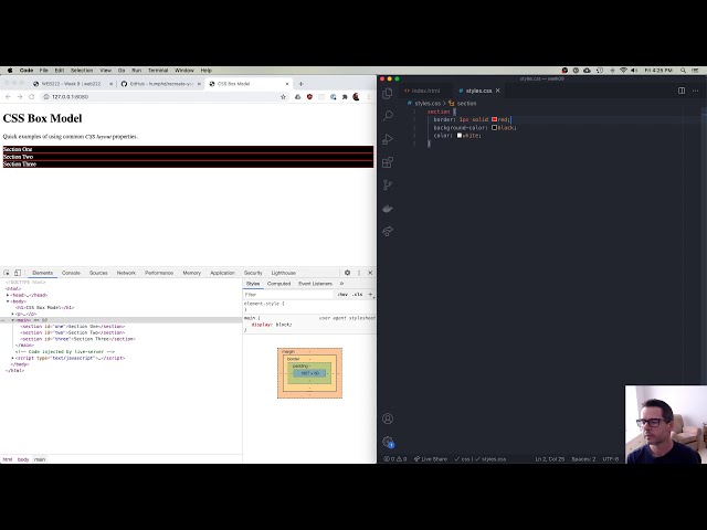 WEB222 Week 9 Part 1: CSS Box Model Intro